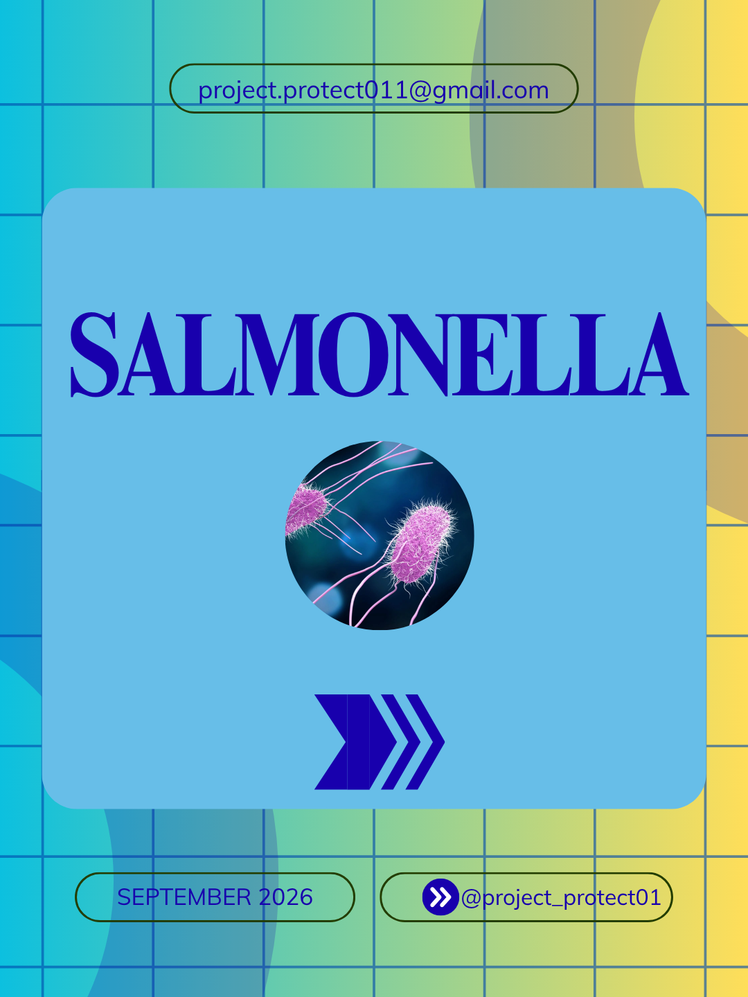Preview of a Project Protect social media post