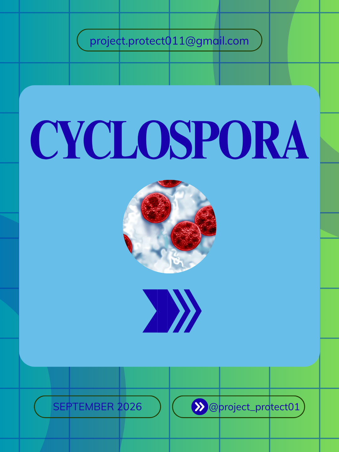 Cyclospora publication cover