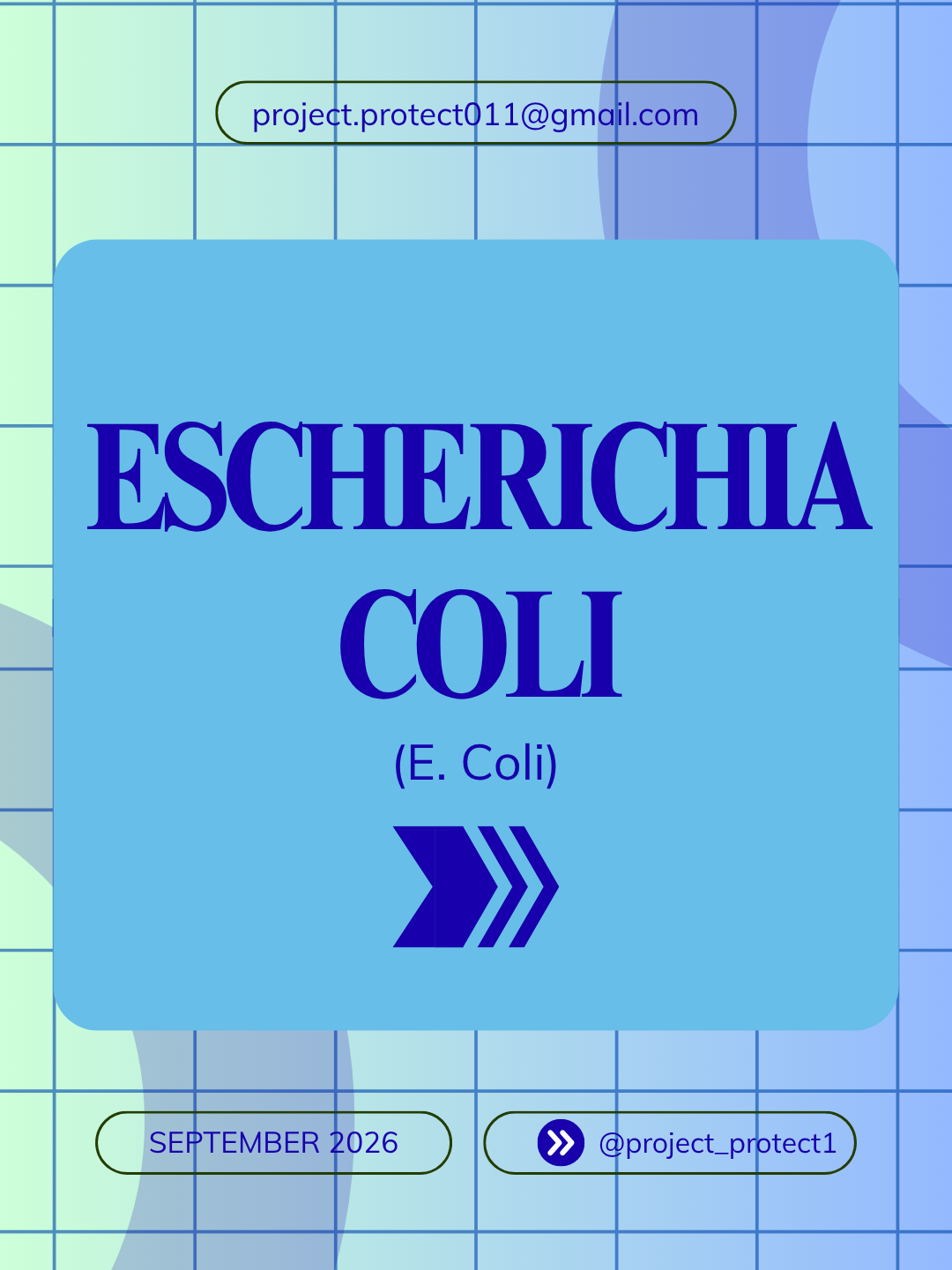 Escherichia coli publication cover