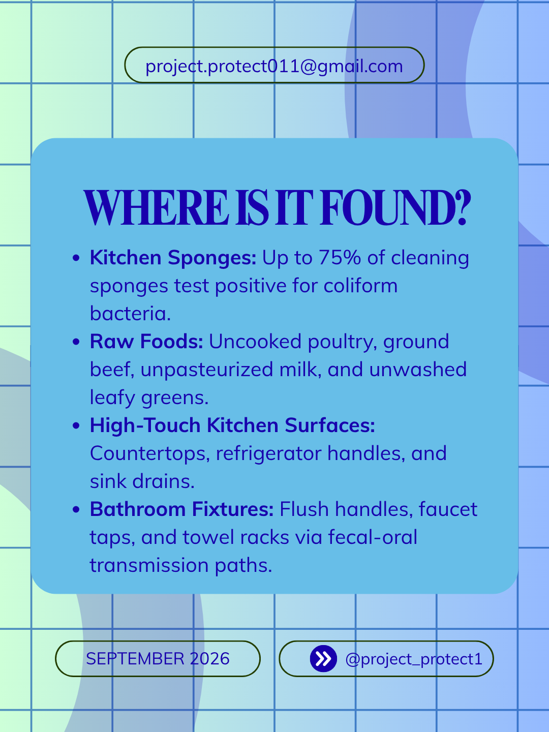 Where E. coli is found