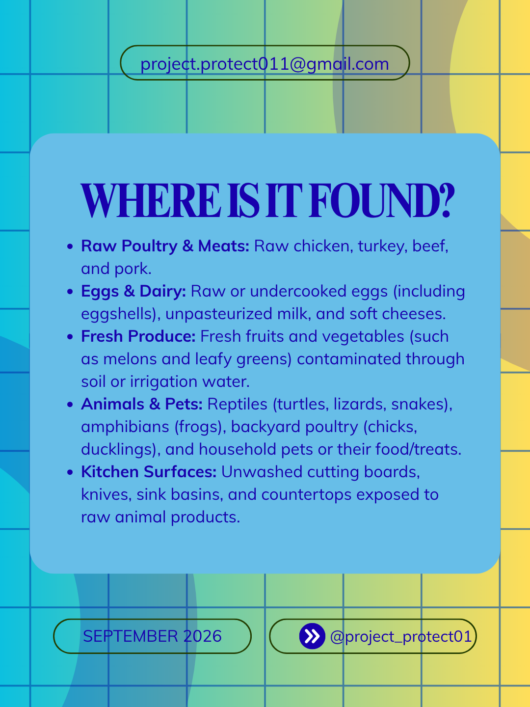 Where Salmonella is found