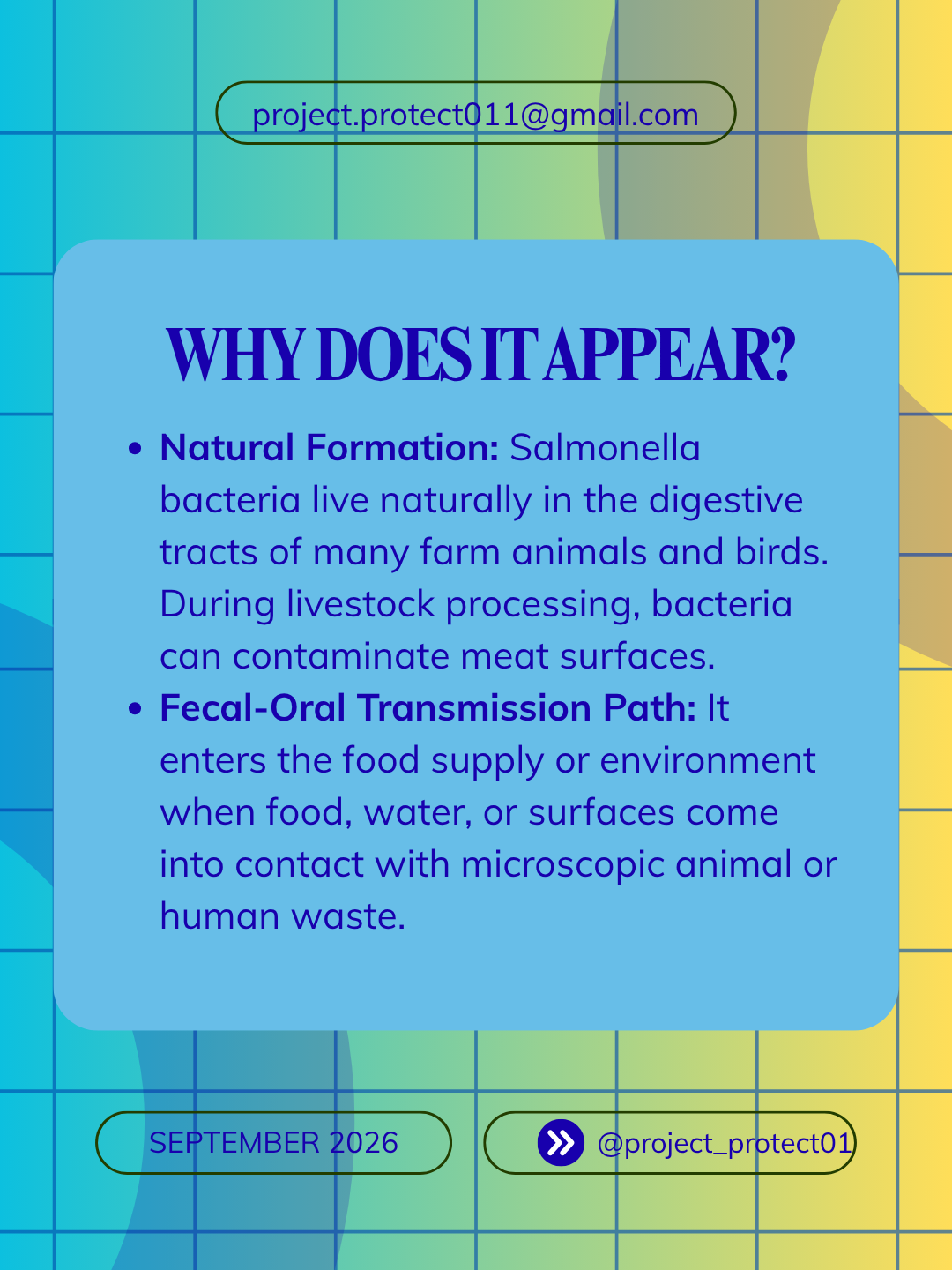 Why Salmonella appears