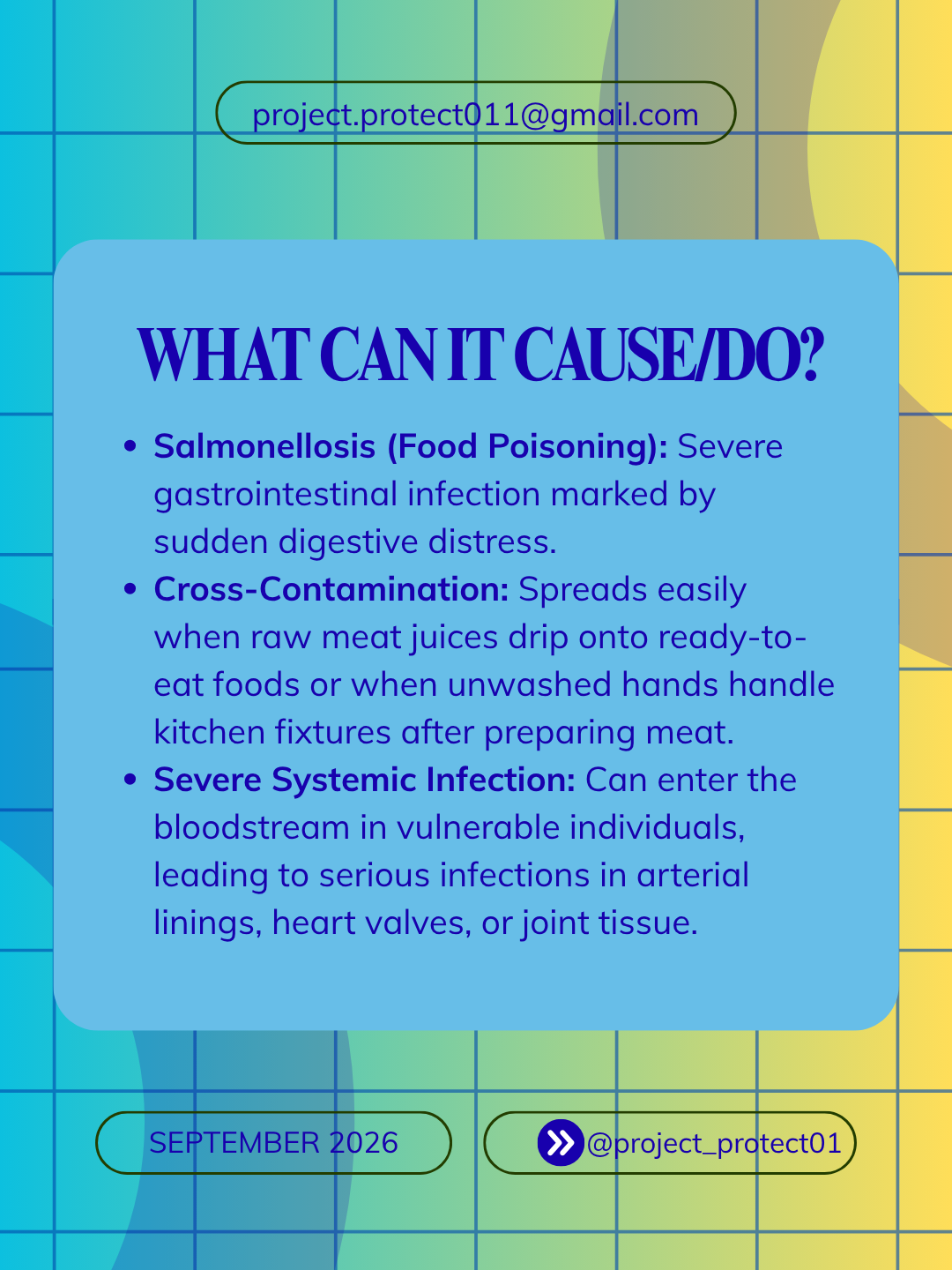 What Salmonella can cause
